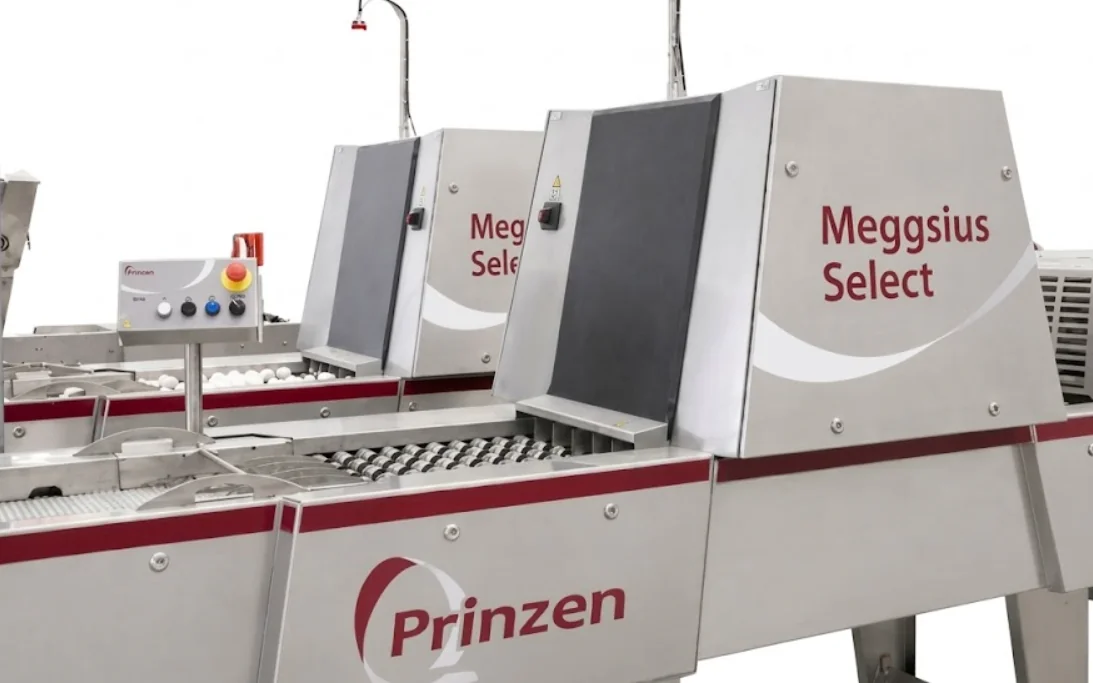 System wizyjny Meggsius Select — automatyczna selekcja i sortowanie jaj