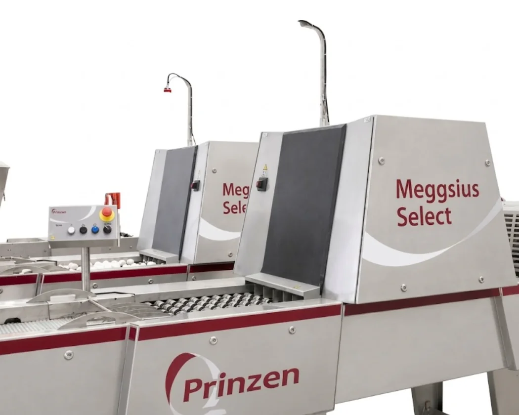 Meggsius Select — wizyjny system selekcji i sortowania jaj Prinzen na linii zbioru jaj