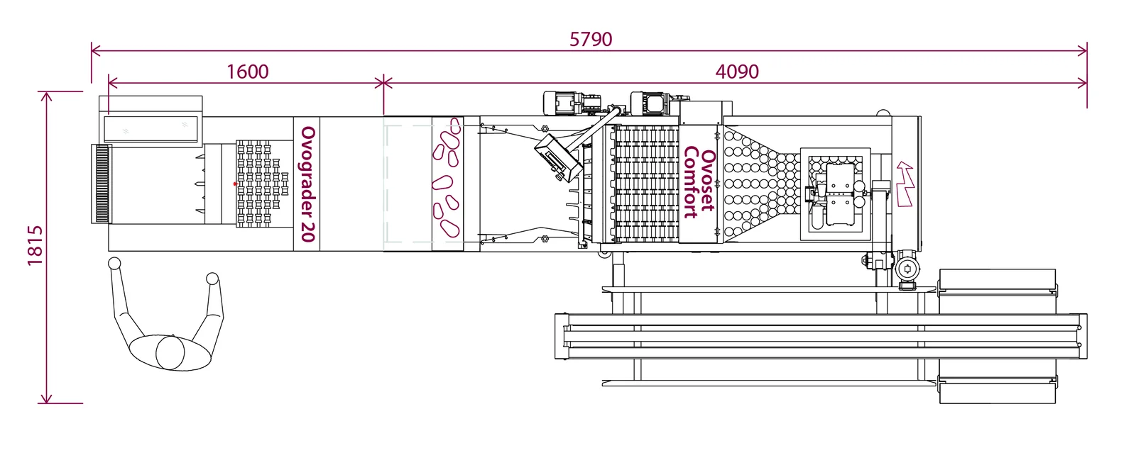 Rysunek techniczny linii: Ovograder 20 z pakowaczką Ovoset Comfort