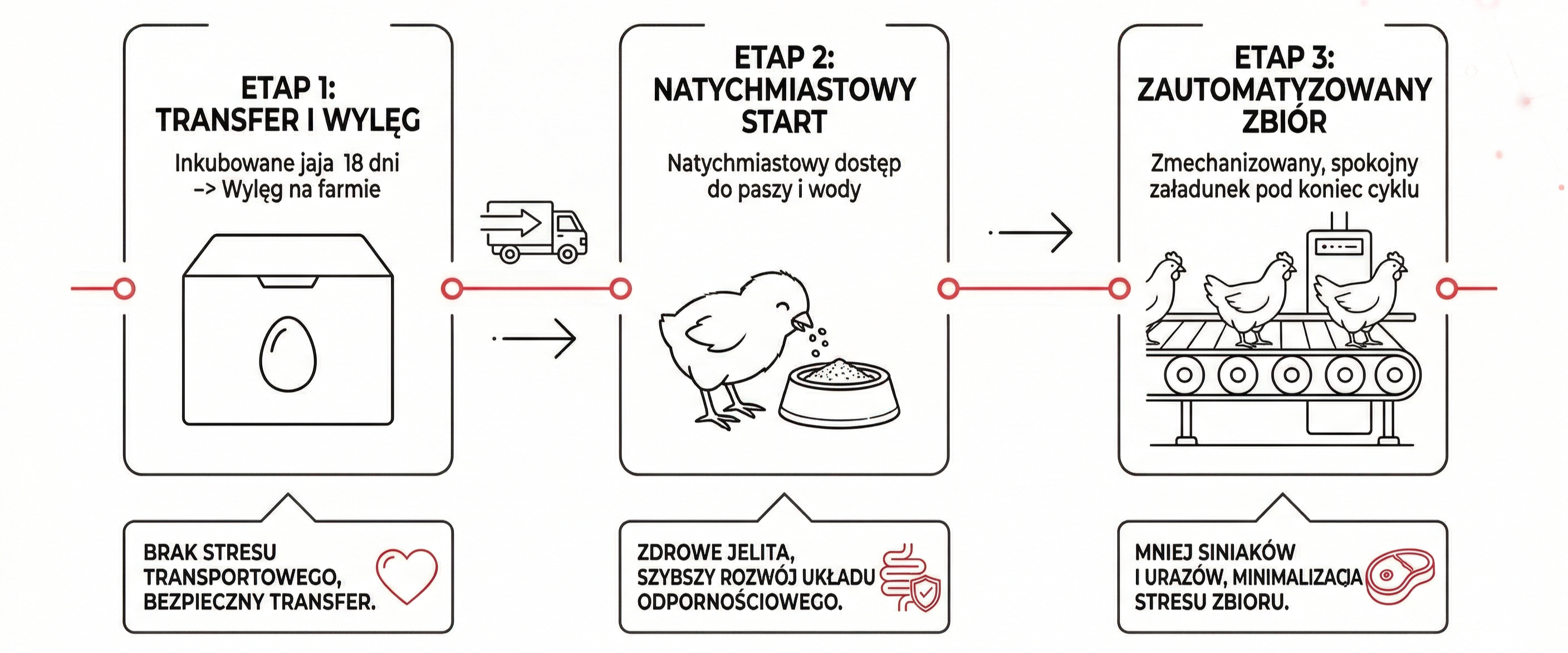 Jak działa zintegrowany system tuczu?