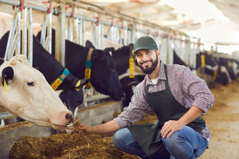 Technology of Farming | Systemy pojenia i karmienia bydła – jak dobrać najlepsze? Technology of Farming | Systemy pojenia i karmienia bydła – jak dobrać najlepsze?